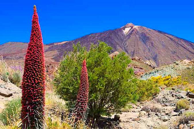 como se formo el teide